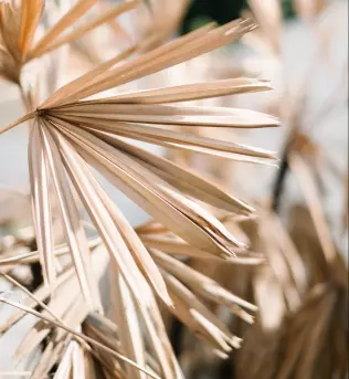 NOA massages & bien-être / Hydrafacial / massages bien-être / Mix massage art: mélange de différentes techniques (californien, thaï, lomi-lomi, deep tissue…)